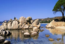 乐动体育-关于关键时刻突围战来临，波士顿凯尔特人围绕德国杯回应争议，赛场秩序良好，轮换策略成焦点的信息